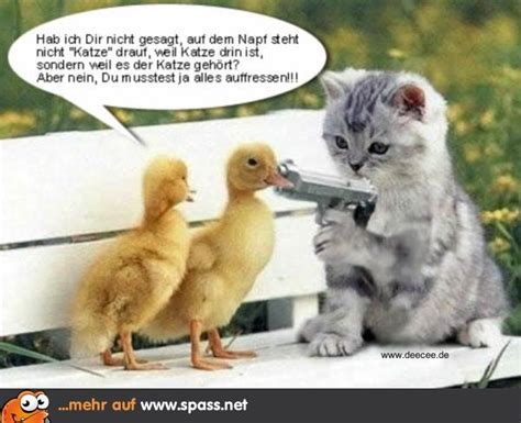 lustige bilder kostenlos|10.000+ kostenlose lustige Bilder & Tierbilder .